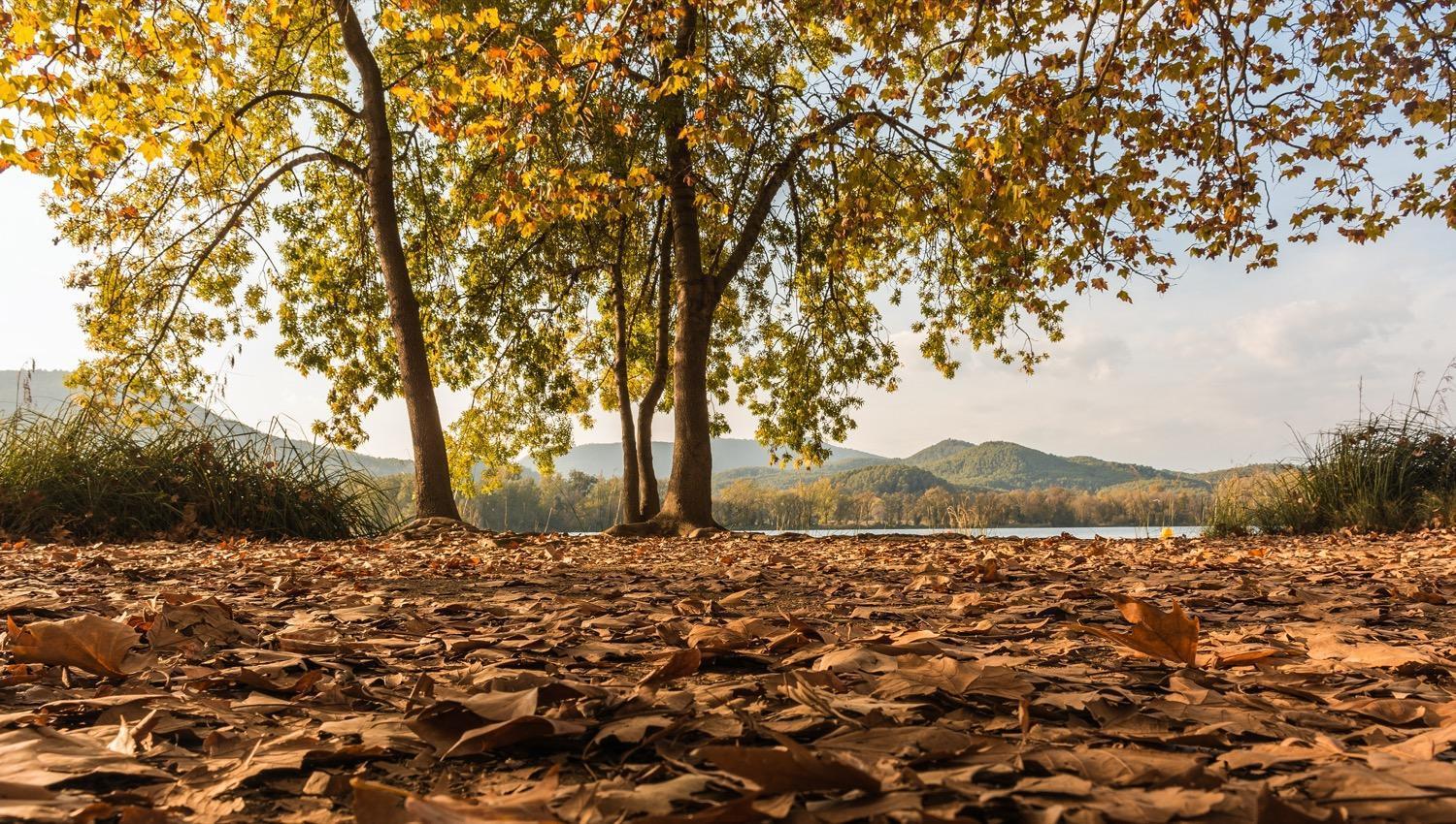 Camping Bungalow El Llac De Banyoles Porqueres Exterior foto